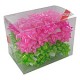 Starbow glossy assorti groen roze 10mm ø50mm 50st. Tpk714521 